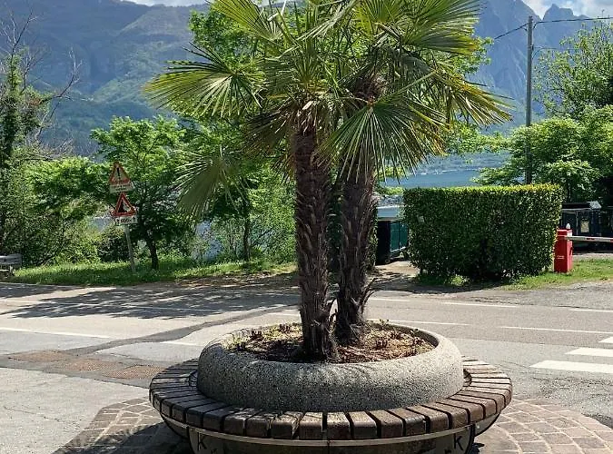 Timeless Con Piscina E Tennis 아파트호텔 발브로나